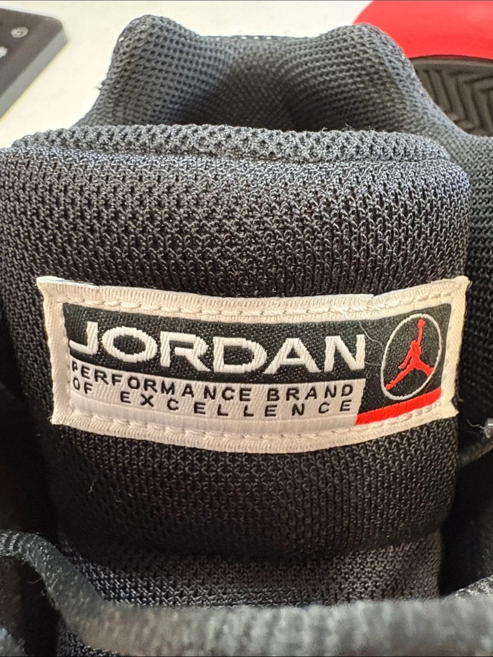 Jordan iconic silhouette